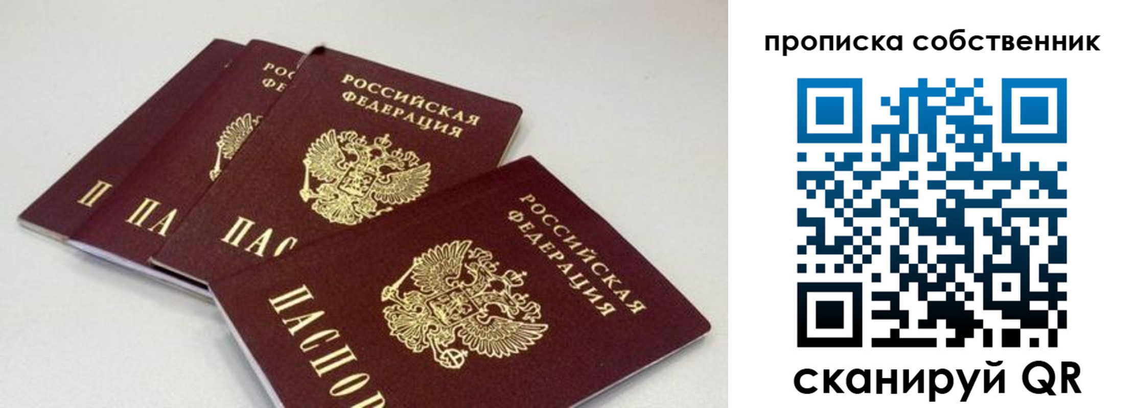где прописаться в Дальнегорске